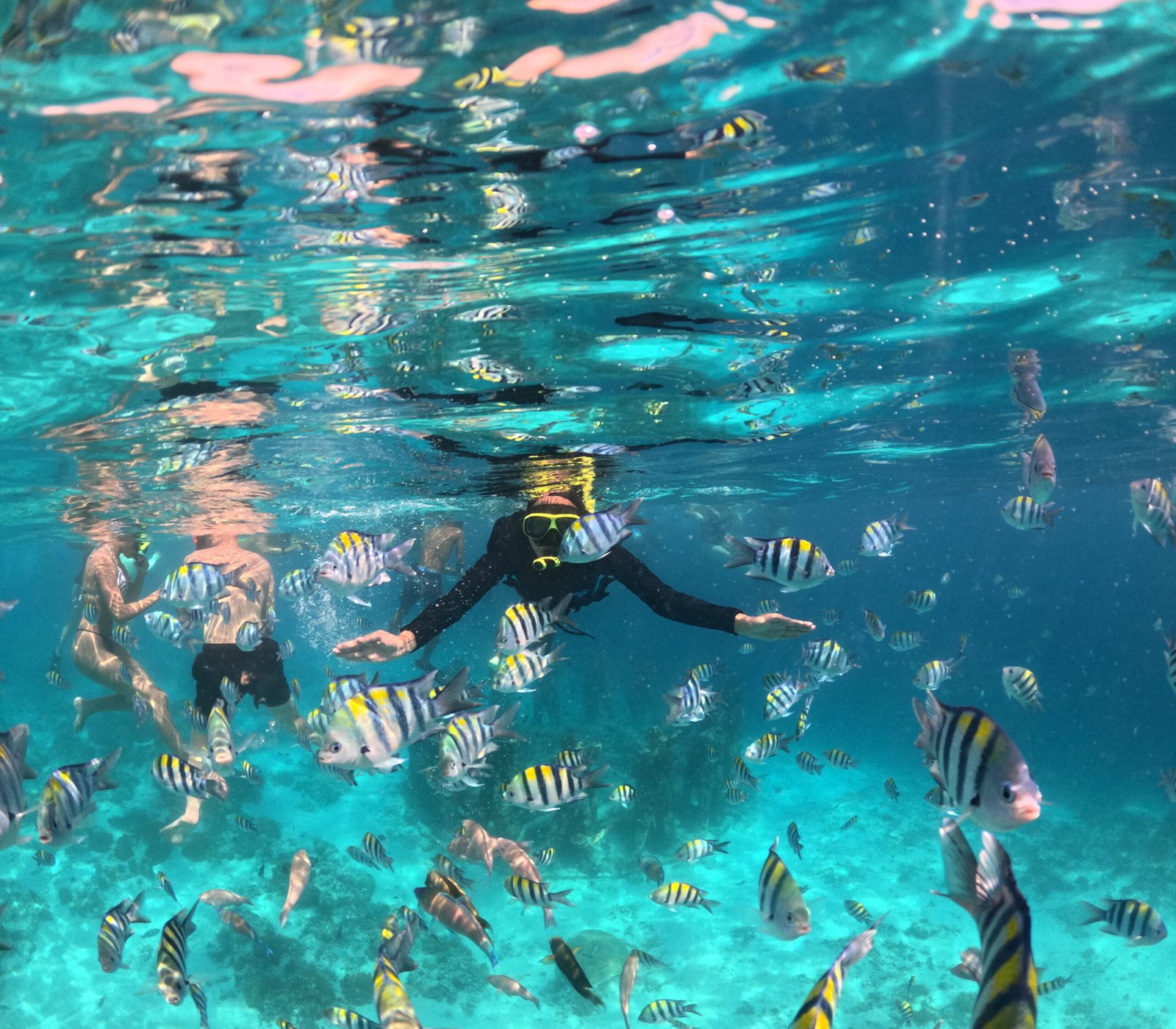 snorkeling trip gili trawangan