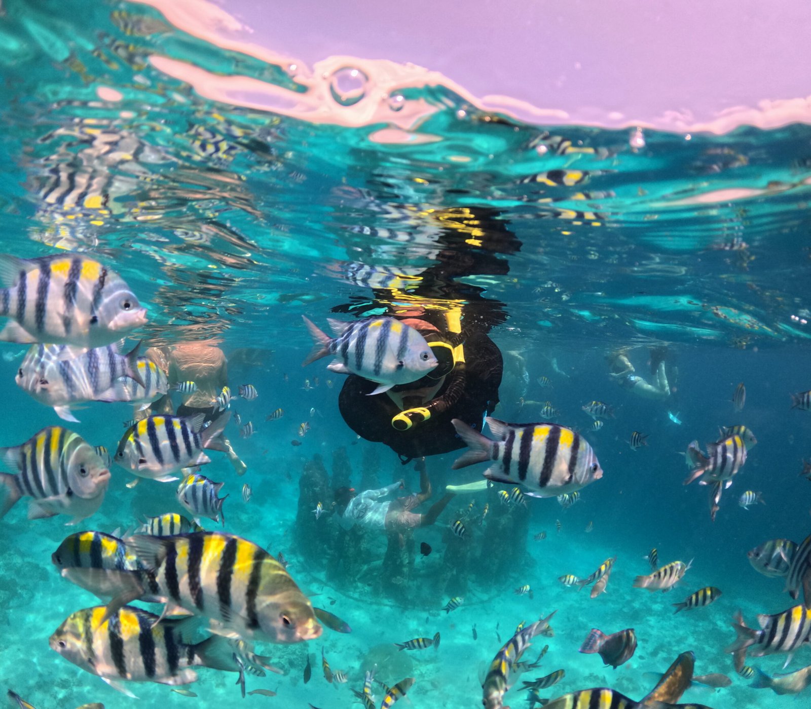 snorkeling gili trawangan