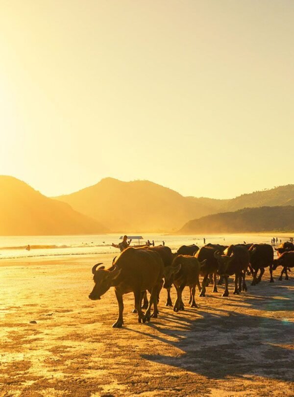 282E54D8-8F0D-4E2D-9166-41C2777EC12C