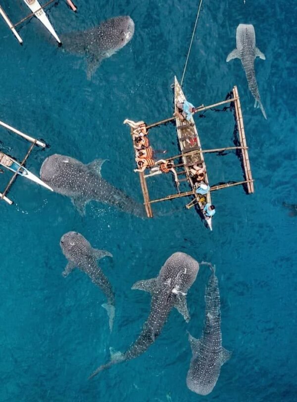 3B7448FB-5394-4B91-A0C9-AF7FA74D5D76