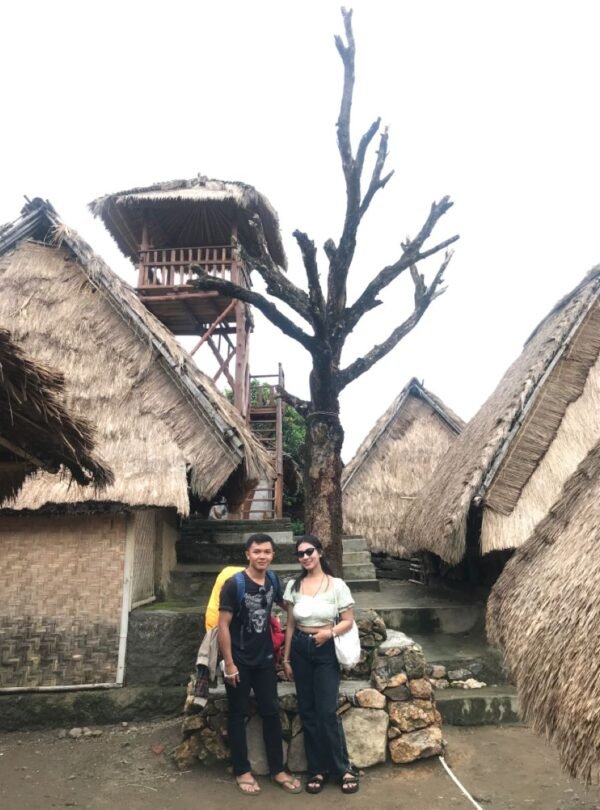 48D157B3-19F6-4DCF-BFCA-99539B8D5595