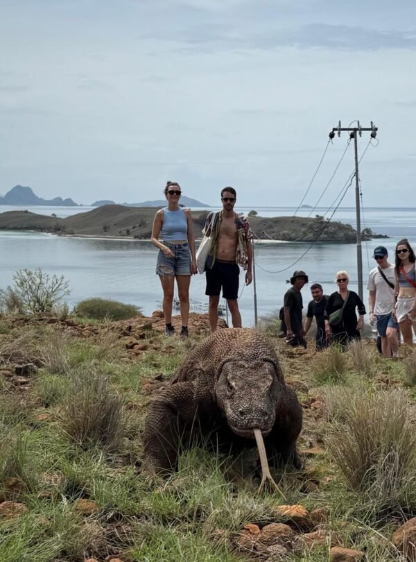 760e9833-3994-4508-b23a-ccbe65ba263b 2