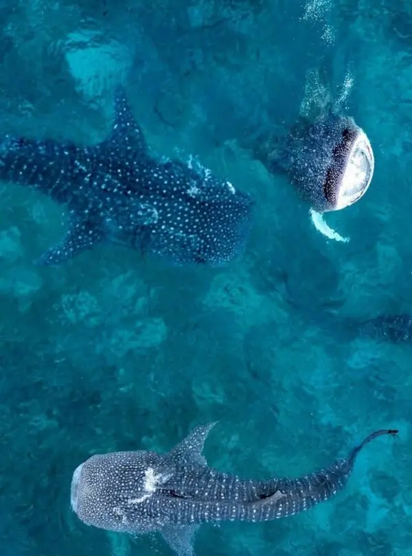 C44E9F99-F69D-46F0-820D-EFE4F475F8DC