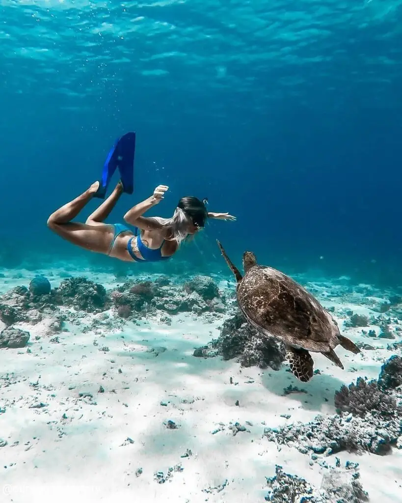 snorkeling trip gili trawangan