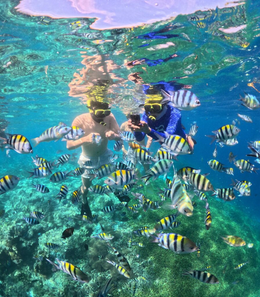 snorkeling trip gili trawangan
